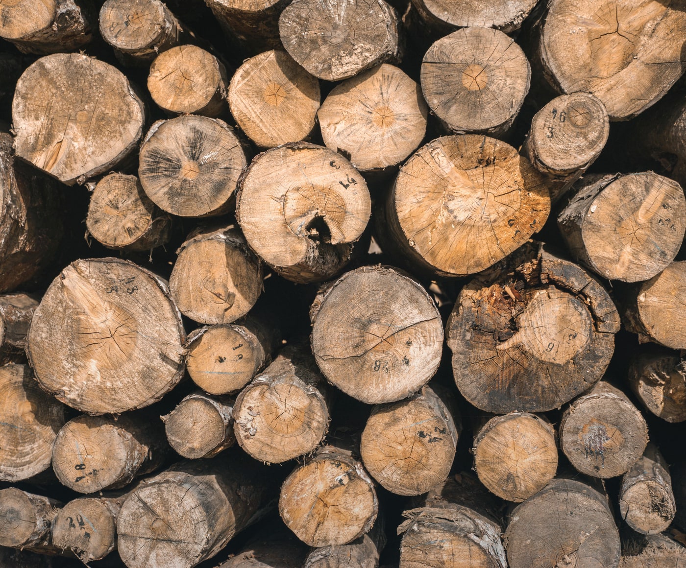 Closer crop of timber stock prepared for grading